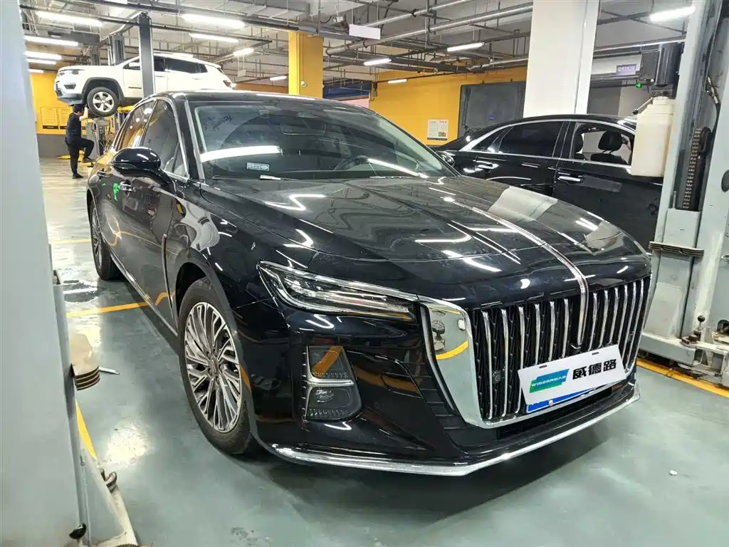 Hongqi H5 2023 2.0T Auto Smart Connect Flag Comfort фото 3