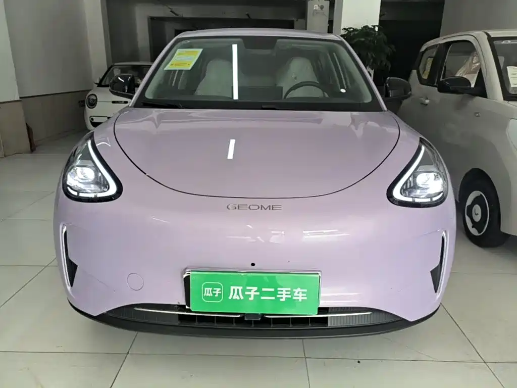 Geely Galaxy Starry Wish 2026 2026 Model 310km Dream Edition