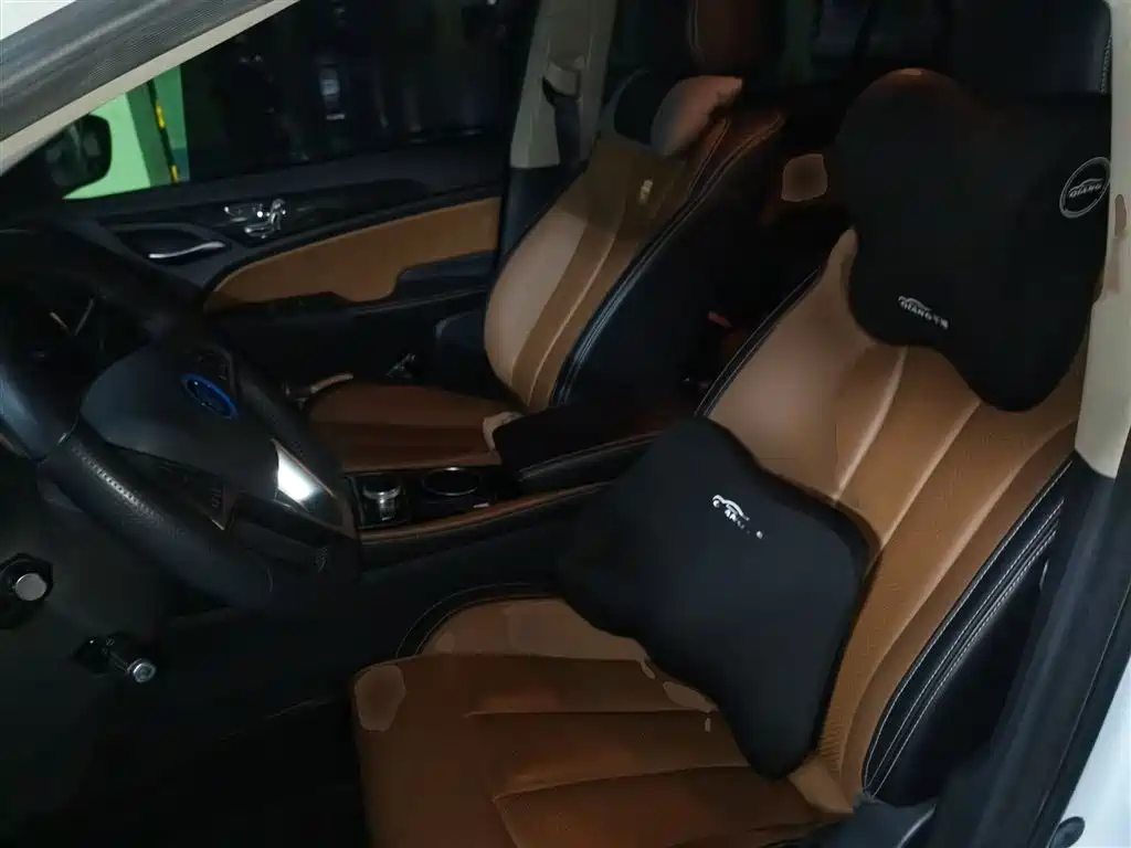 BYD Qin New Energy 2018 Qin EV450 Smart Connected Premium Edition фото 14
