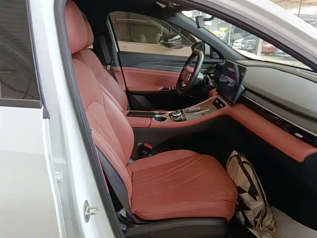 Geely Galaxy Galaxy L6 2025 EM-i 140km Voyage Edition фото 25