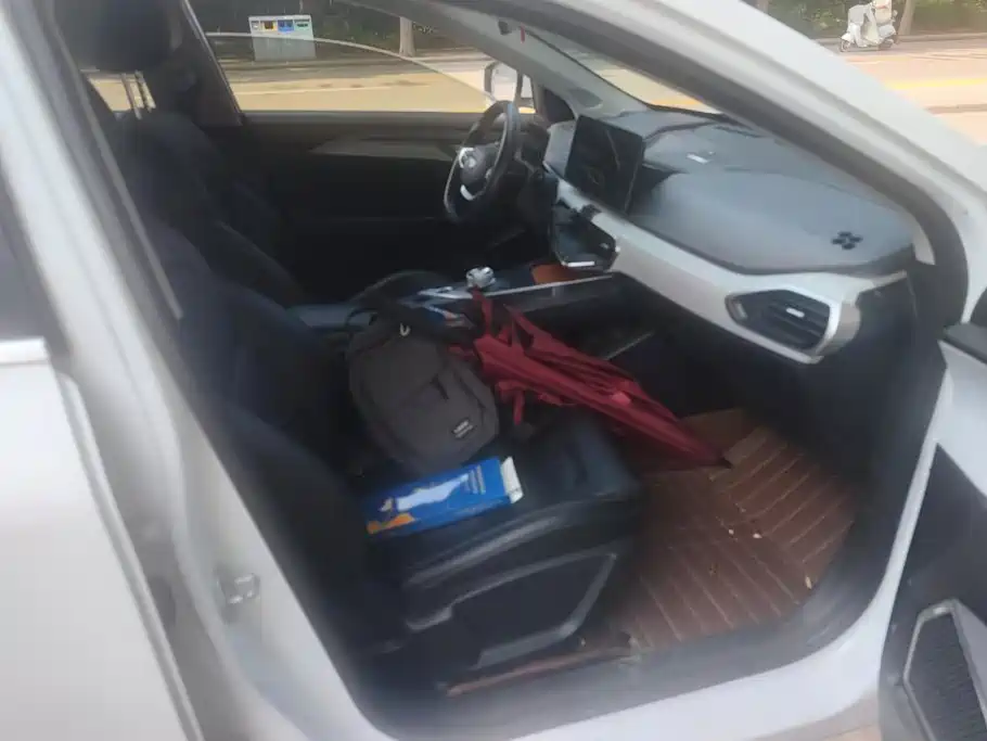 Geely Geometry A 2022 2021 Pro Long-Range Edition 430KM A430 Square