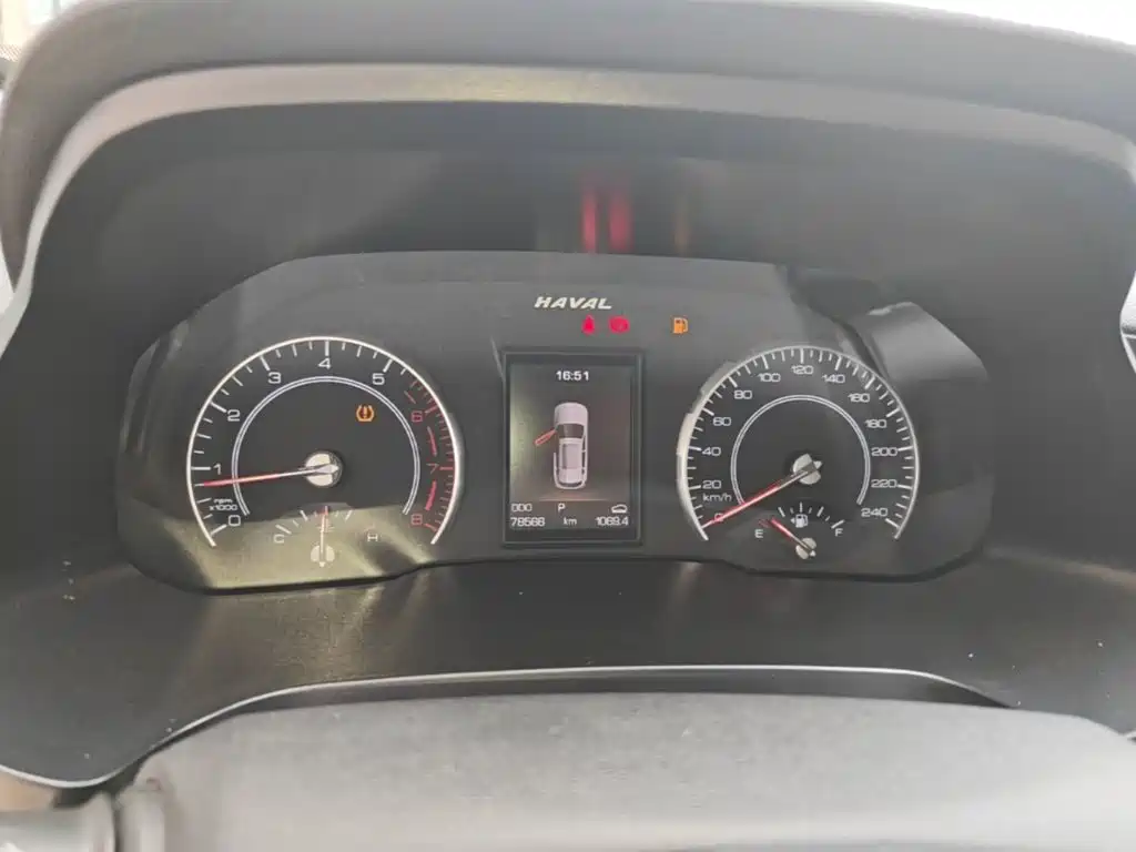 صورة 12 - Haval H2s