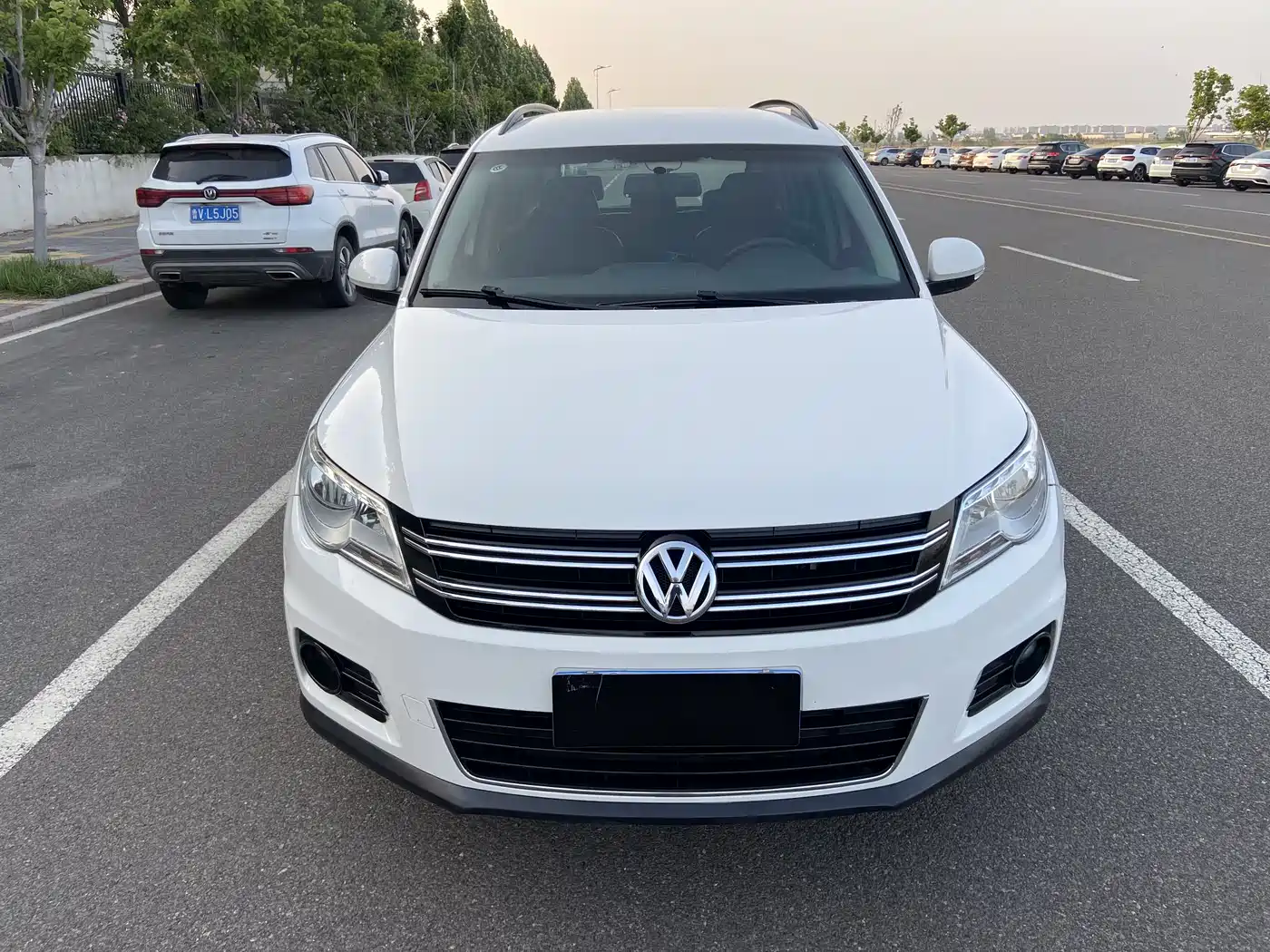 Volkswagen Tiguan 2010 1.8TSI Automatic 2WD Trend фото 2