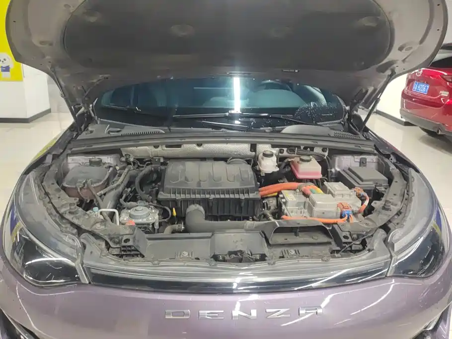 Denza X 2020 2020 Model PHEV Flagship Edition
