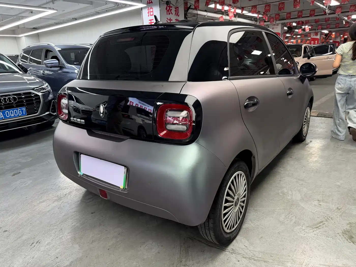 Ora Black Cat 2022 2022 Facelift 301km Pet Edition LFP Version
