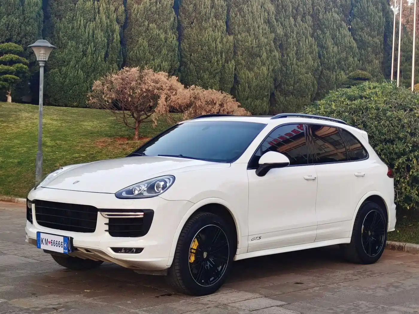Porsche Cayenne 2015 Cayenne 3.0T