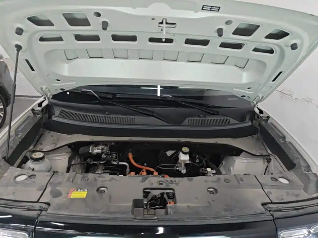 Baojun Yueye Plus 2026 2026 301km Flagship