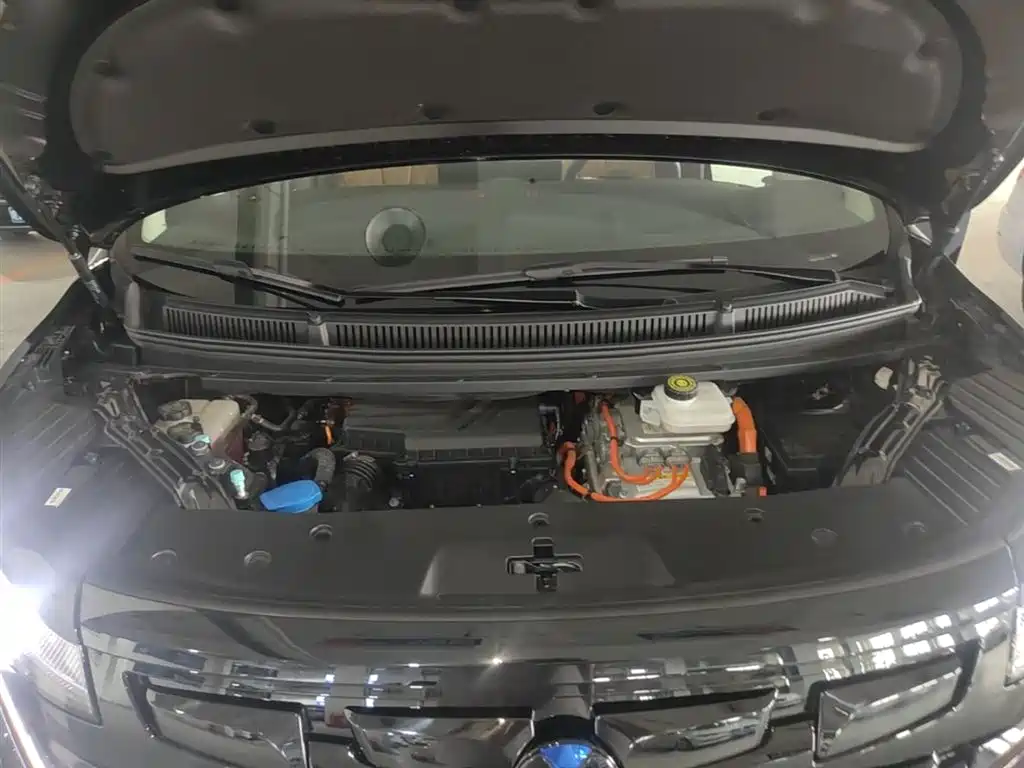 Denza D9 2024 DM-i 980 AWD Prestige фото 20