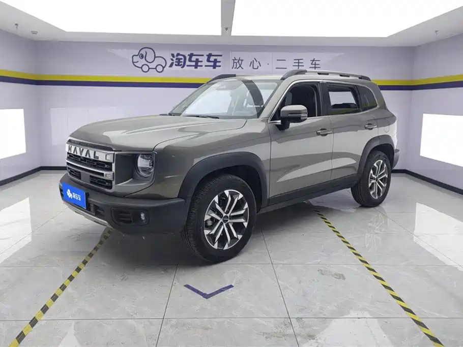 Haval Big Dog 2024 1.5T DCT Border Collie Edition