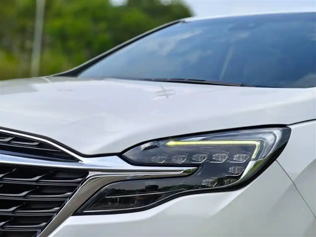 Buick GL8 2022 ES Landmark 653T Premium фото 11