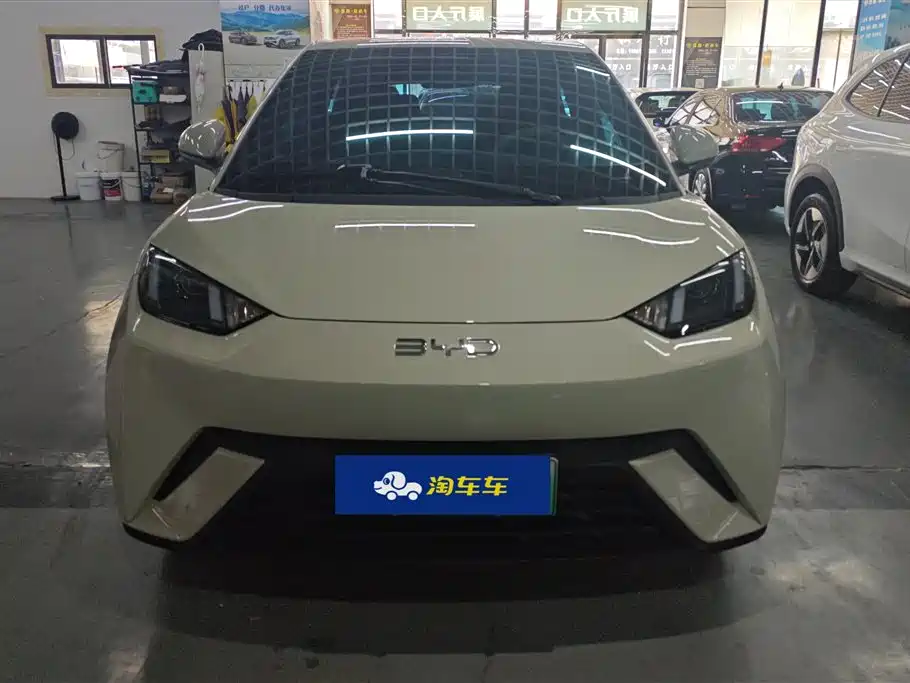 BYD Seagull 2025 305km Vitality фото 2