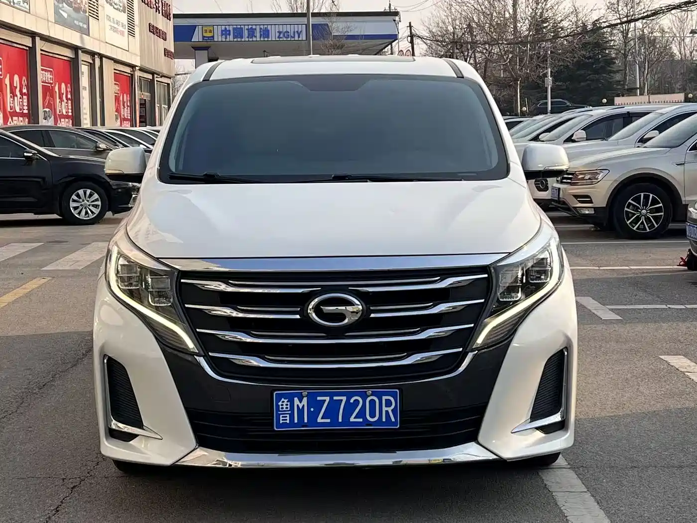 GAC Trumpchi Trumpchi M8 2020 Pilot 390T Premium Edition фото 2