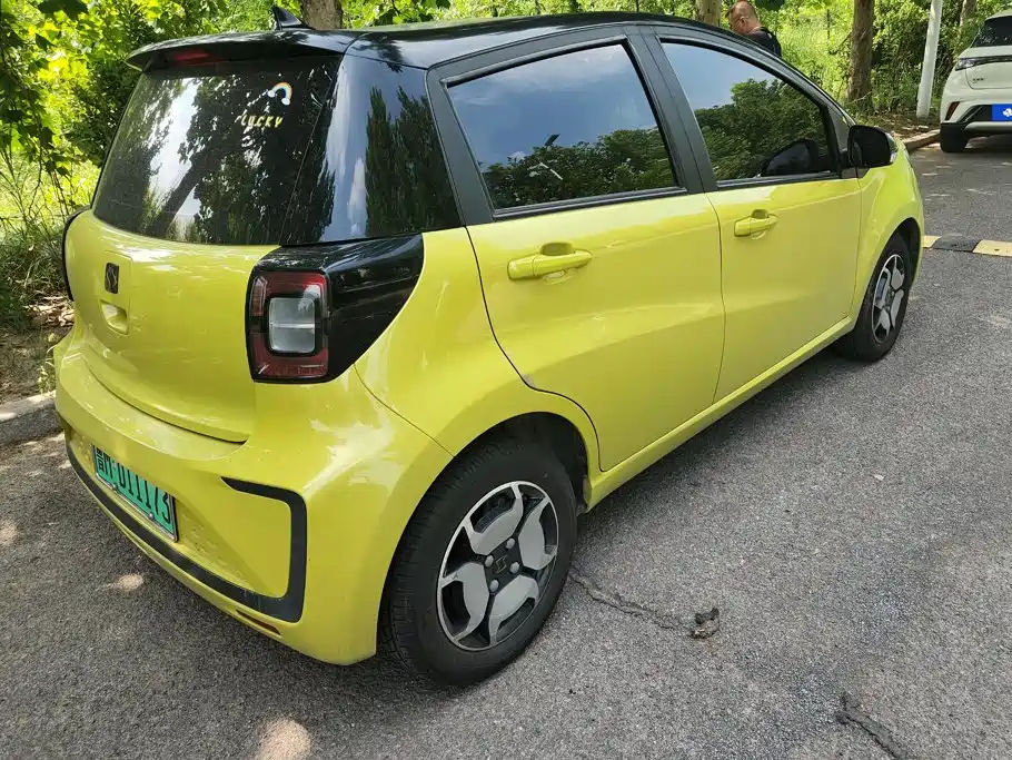 Sehol Flower Fairy 2021 2021 302km Luxury Edition 31.4kWh
