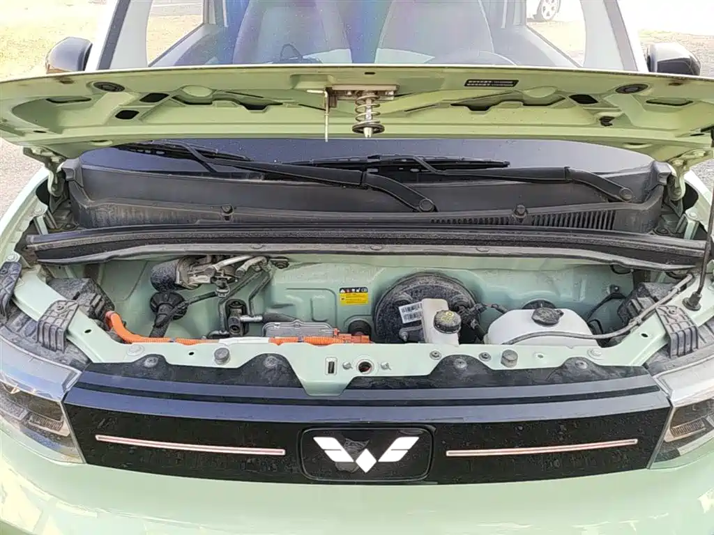 Фото 20 - Wuling Motors Hongguang MINIEV
