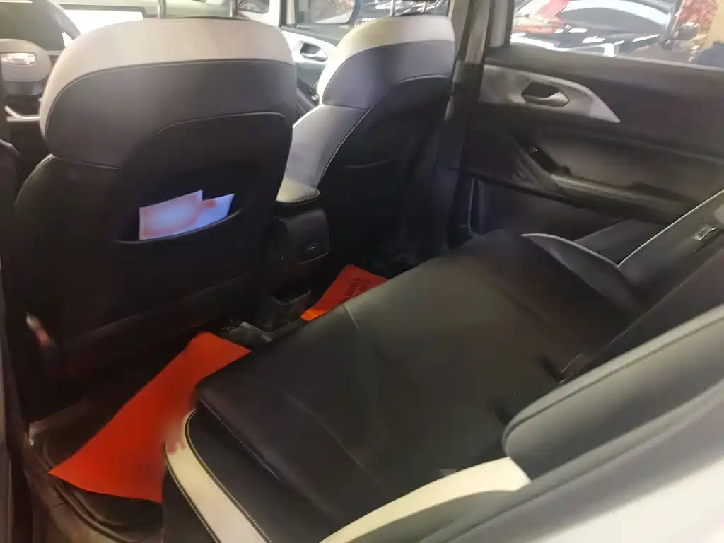 Geely Geometry E Firefly 2023 2022 401KM Delicate Tiger 4-seater