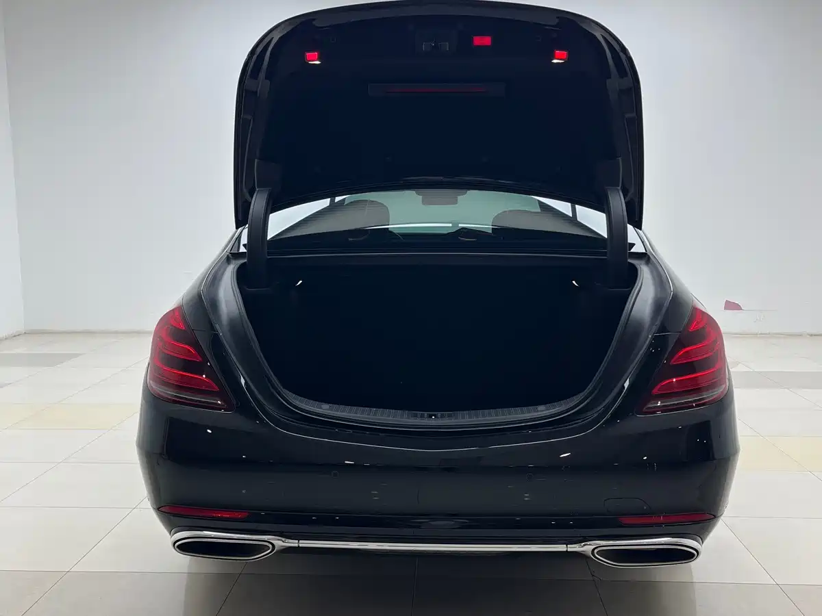 Mercedes-Benz S-Class 2019 S 320 L фото 12
