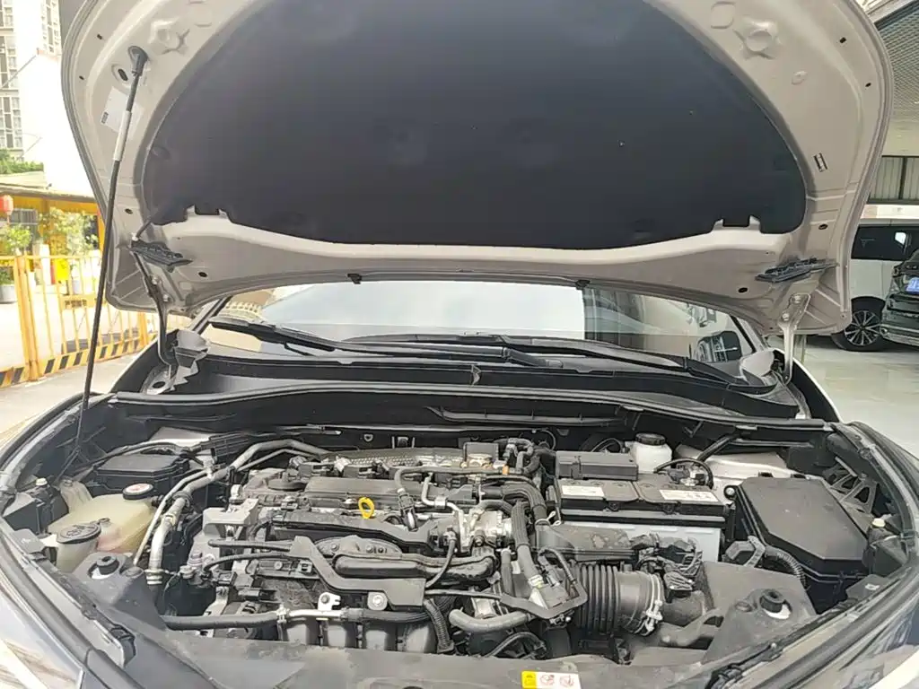 Toyota C-HR 2021 2020 Model 2.0L Leading