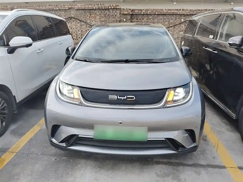 BYD Dolphin 2023 420km Fashion Edition фото 3