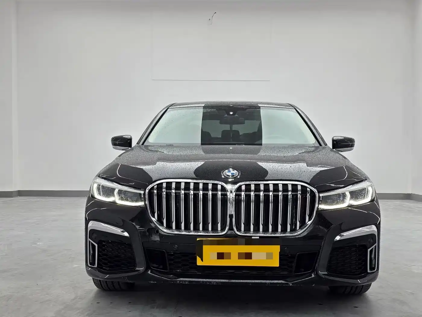 BMW 7 Series 2016 730Li Leading фото 2