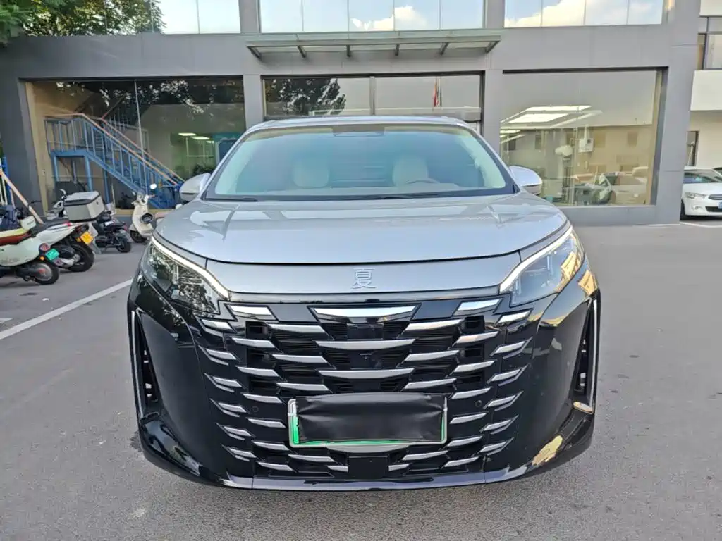 BYD Xia 2025 2025 DM-i 1.5T 180km Surpass Edition