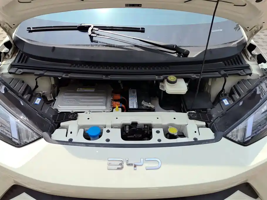 BYD Seagull 2023 Vitality Edition фото 10