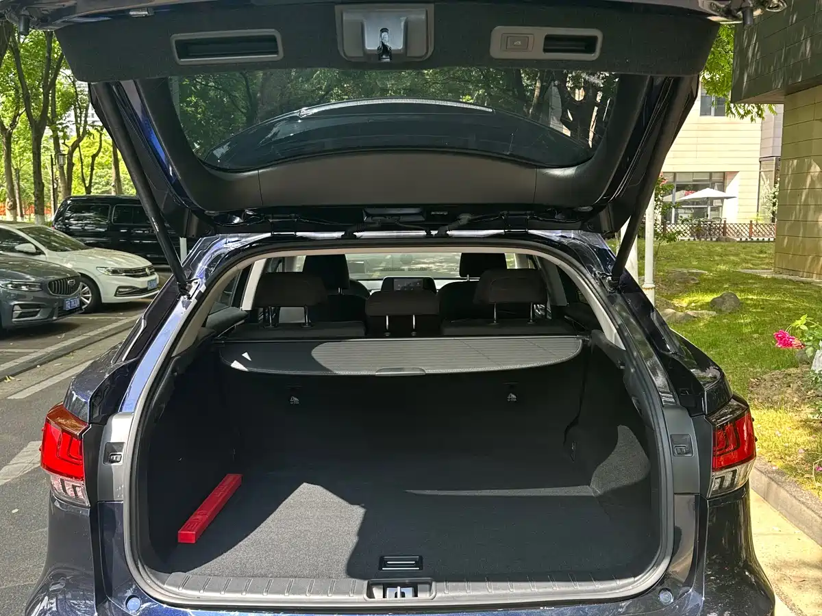 Lexus RX 2020 Facelift 300 2WD Elite Edition фото 15