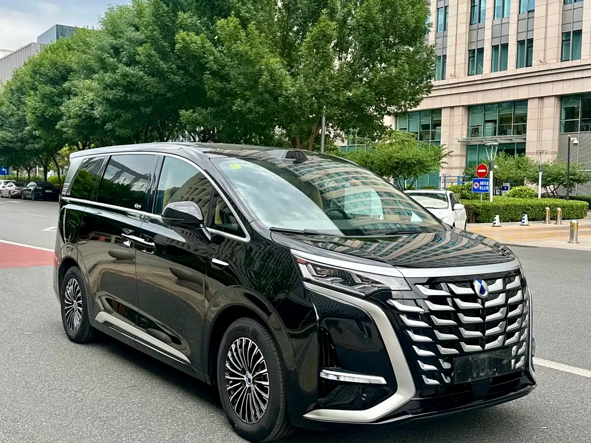 Denza D9 2025 DM-i Smart Drive Edition 1020 AWD Premium фото 3