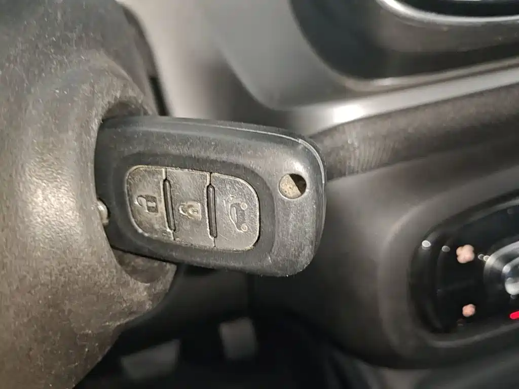 Фото 9 - smart forfour
