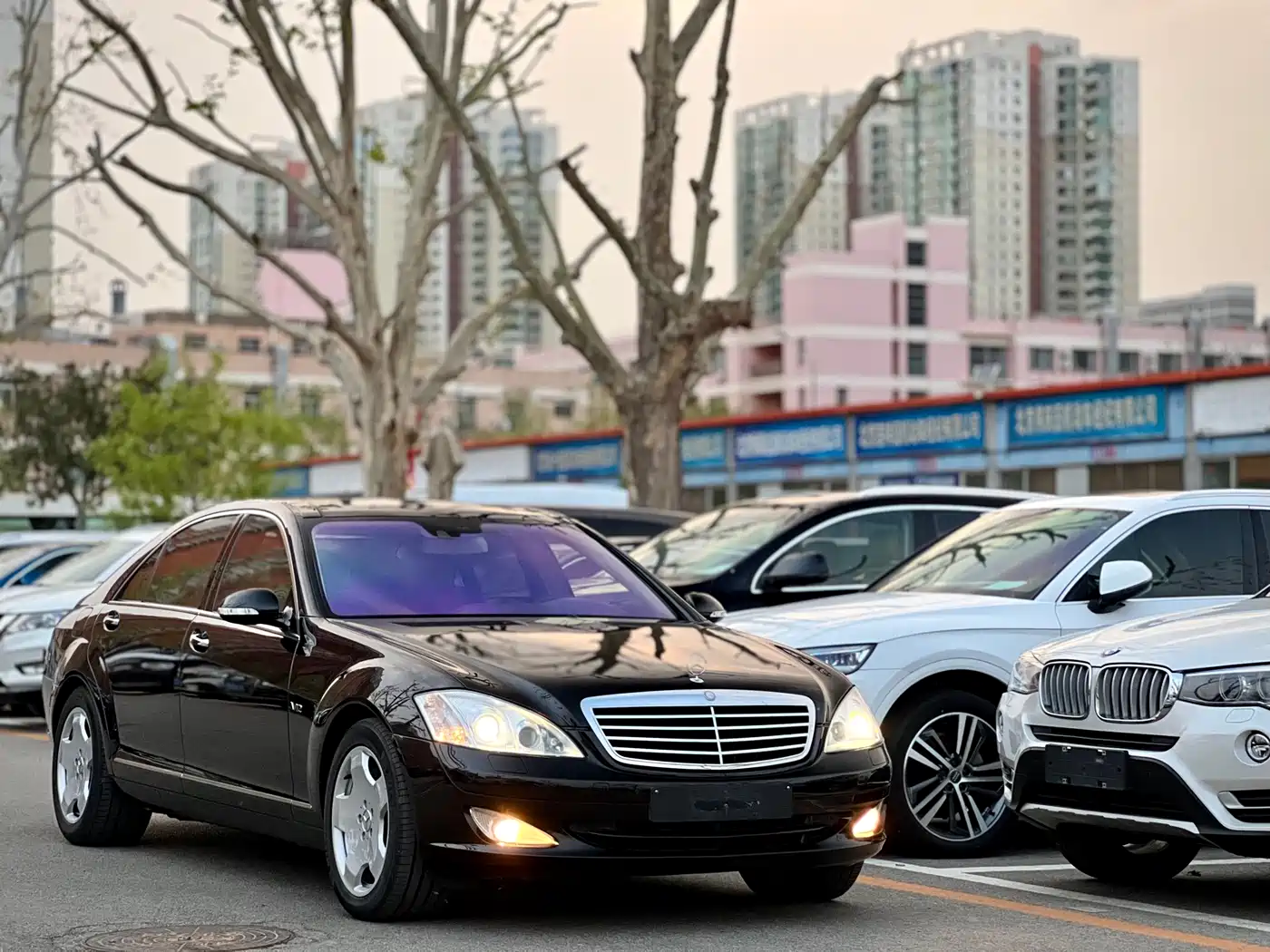 Mercedes-Benz S-Class 2008 Model S 600 L фото 3