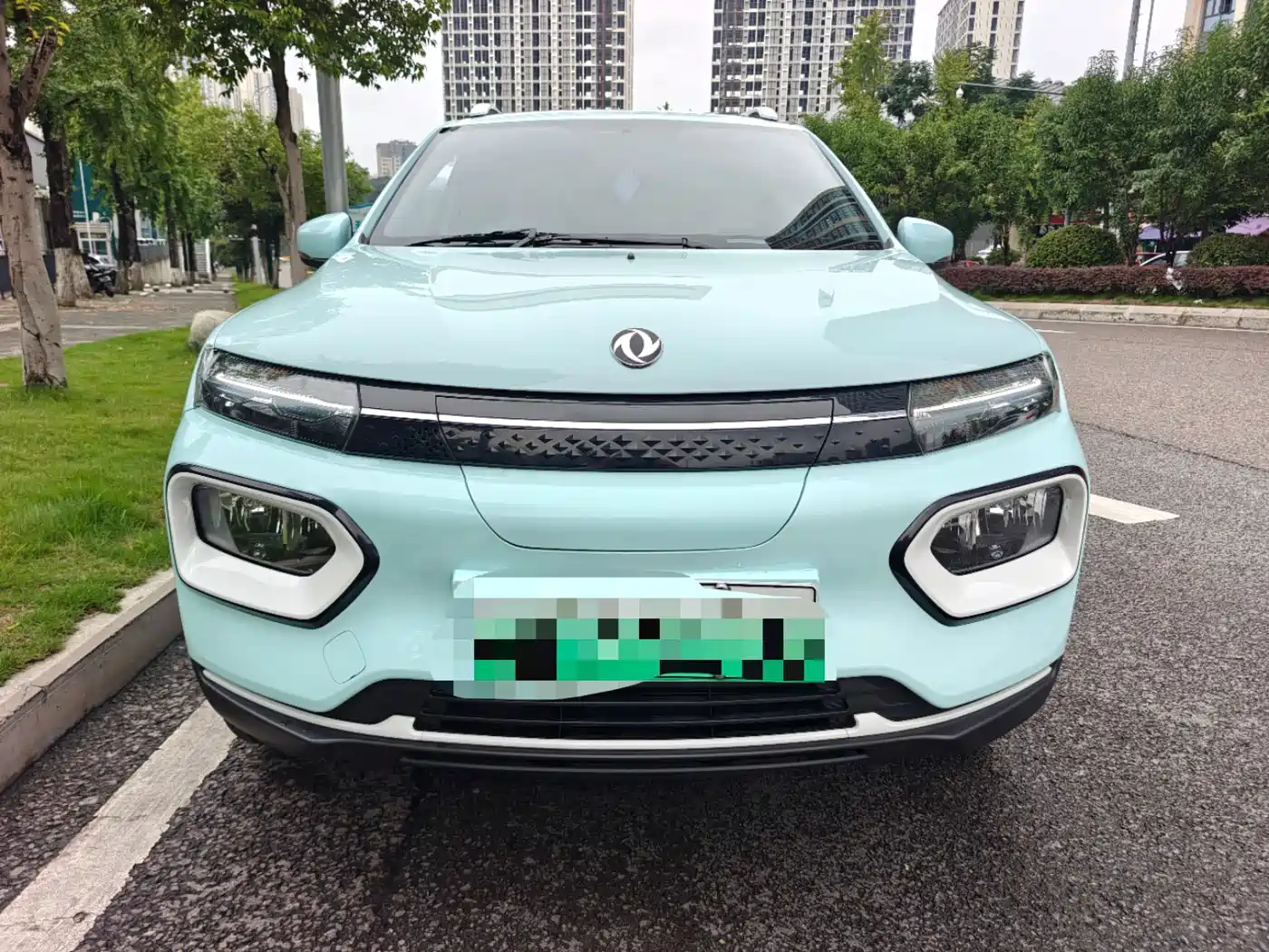 Dongfeng Yipai Nano BOX 2024 2022 Wind Chaser Edition 331KM Standard