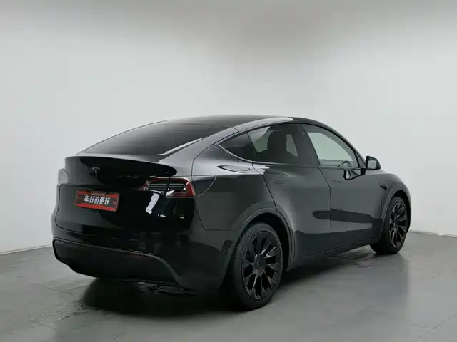 Tesla Model Y 2021 Long Range All-Wheel Drive 3D7 — фото 2