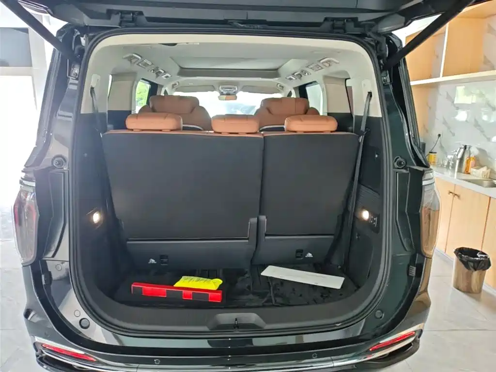 Hongqi HQ9 PHEV 2024 Model 2.0T AWD Luxury Edition фото 19