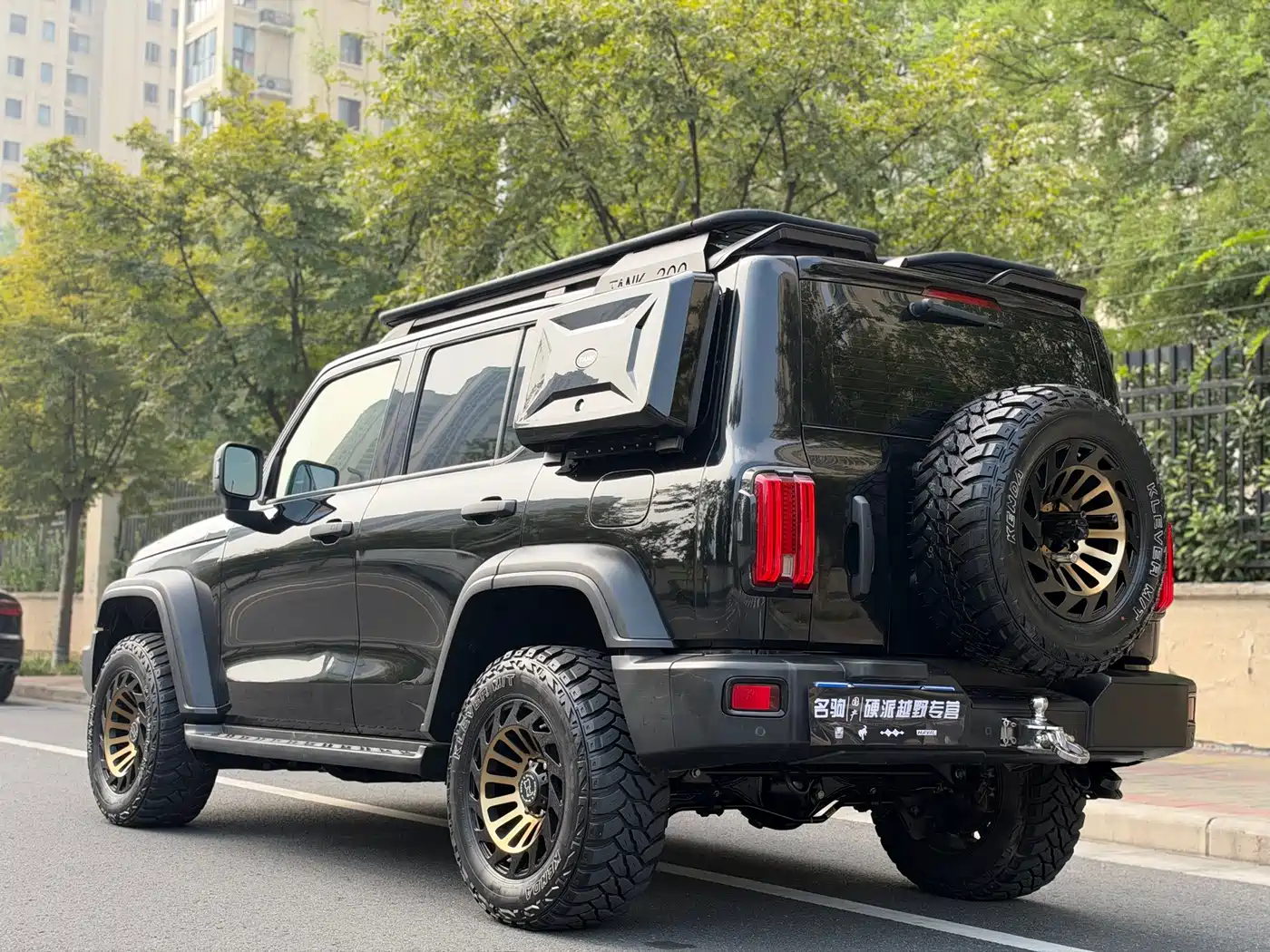 Tank 300 2021 2021 Off-road Version 2.0T Conqueror