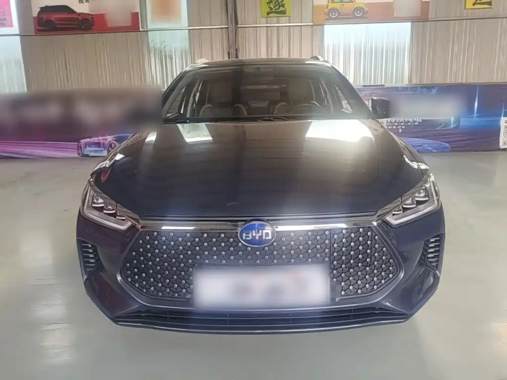 Фото 3 - BYD e2