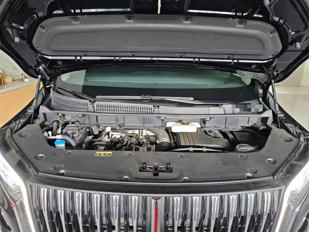 Hongqi HQ9 PHEV 2024 Model 2.0T AWD Luxury Edition фото 20