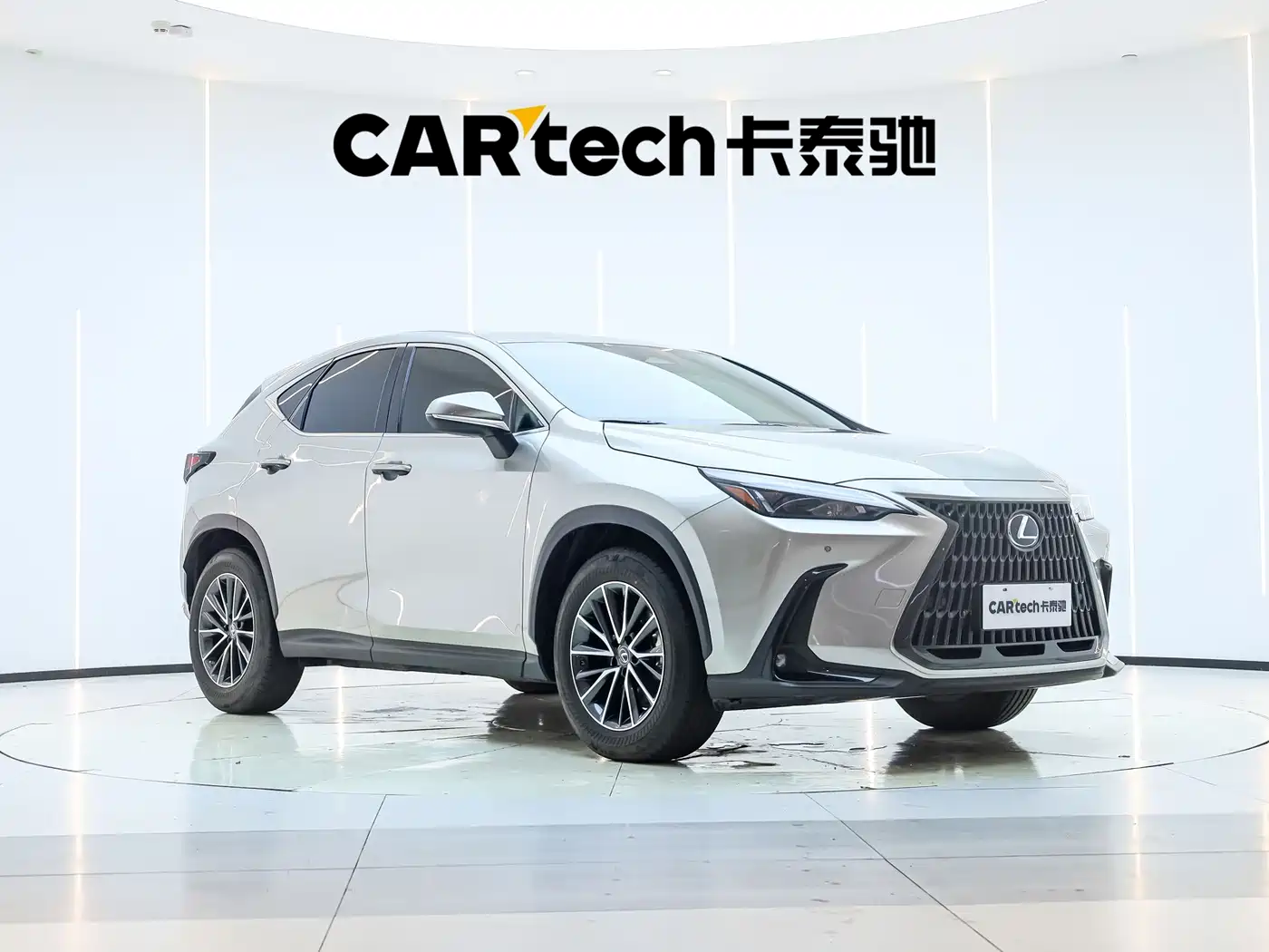 Lexus NX 2023 2022 260 FWD Joy Creation Edition