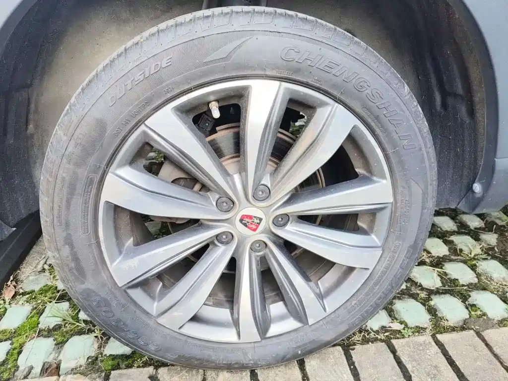Фото 7 - Roewe RX5 MAX