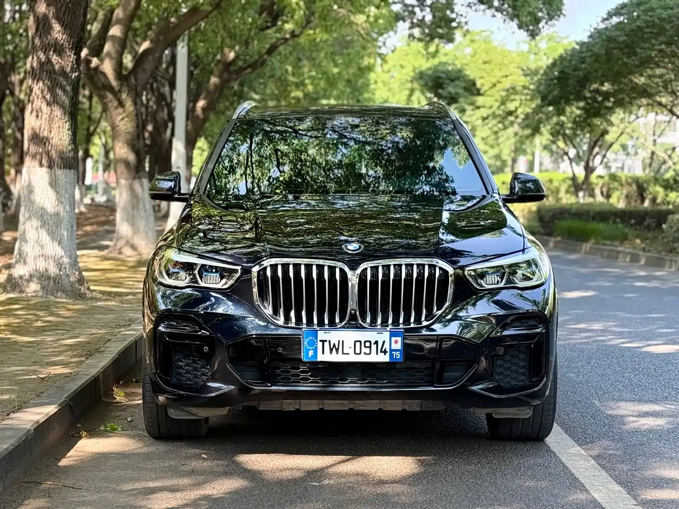 BMW X5 2022 Facelift xDrive 40Li M Sport Package фото 2