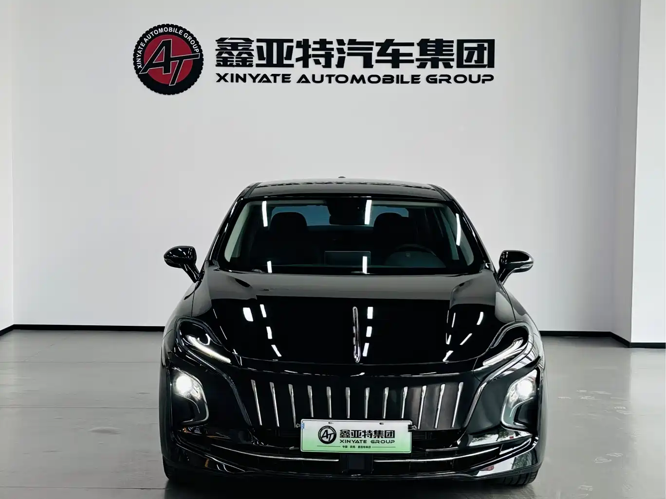 Hongqi HONGQI E QM5