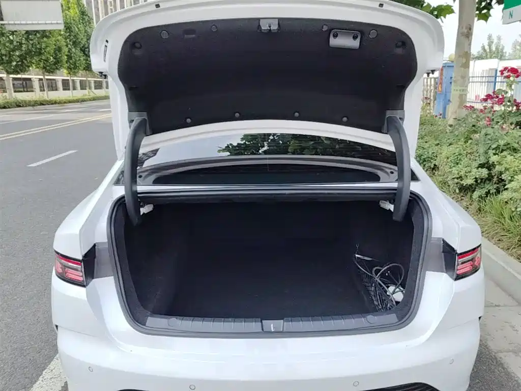 BYD Destroyer 05 2024 Glory Edition DM-i 55KM Luxury фото 19