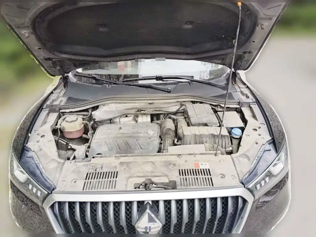 Borgward BX5 2018 2017 Model 20TGDI Automatic 2WD Vanguard Type