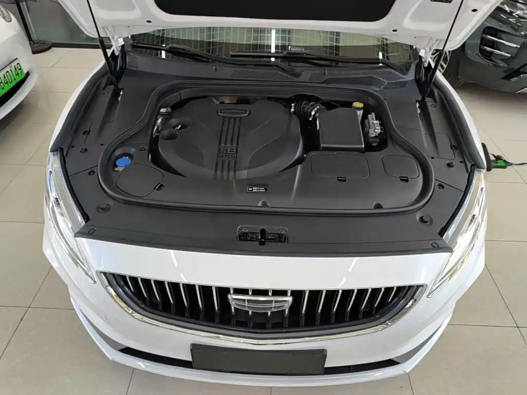 Фото 20 - Geely Borui