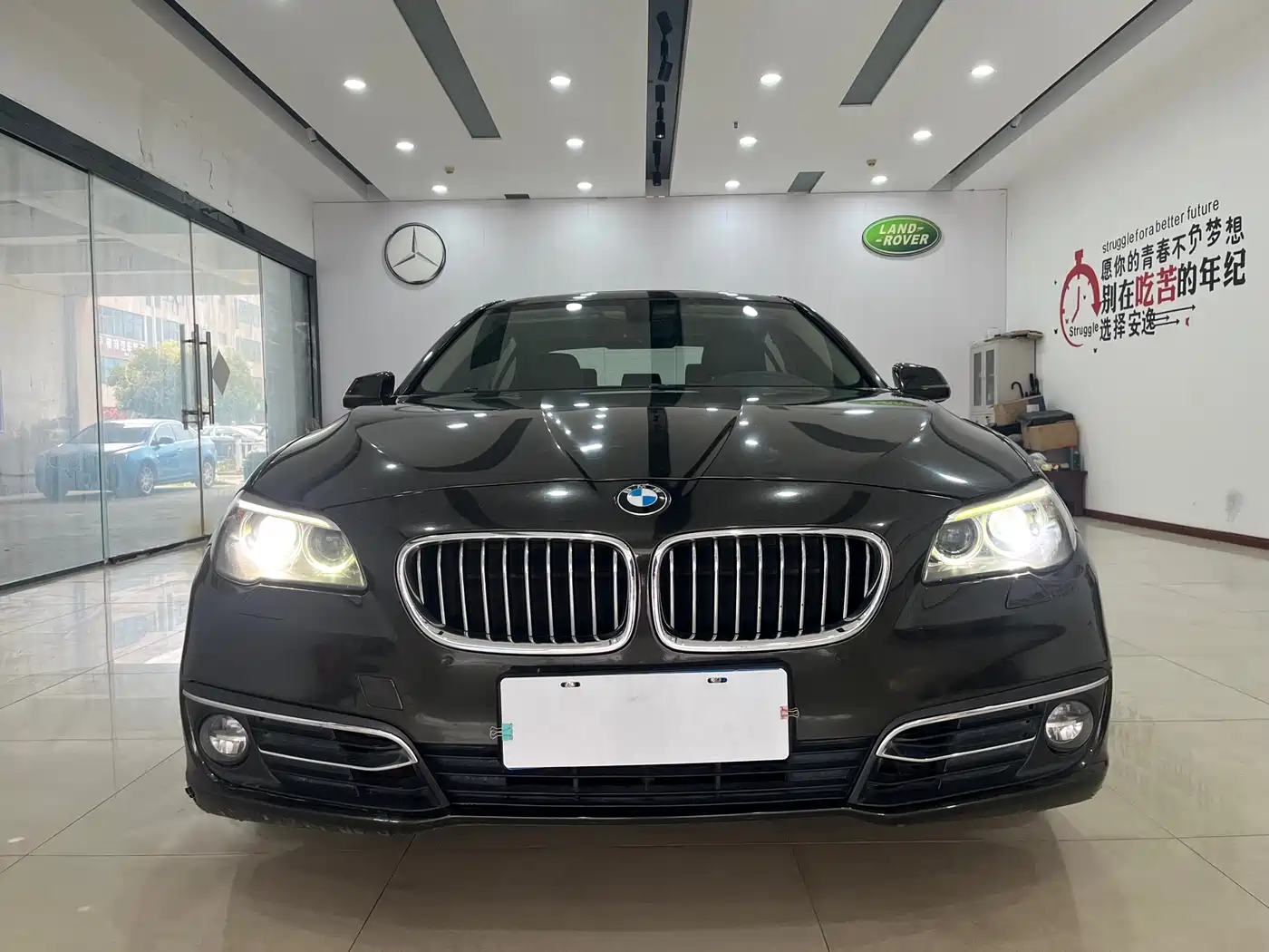 BMW 5 Series 2013 525Li Luxury фото 2