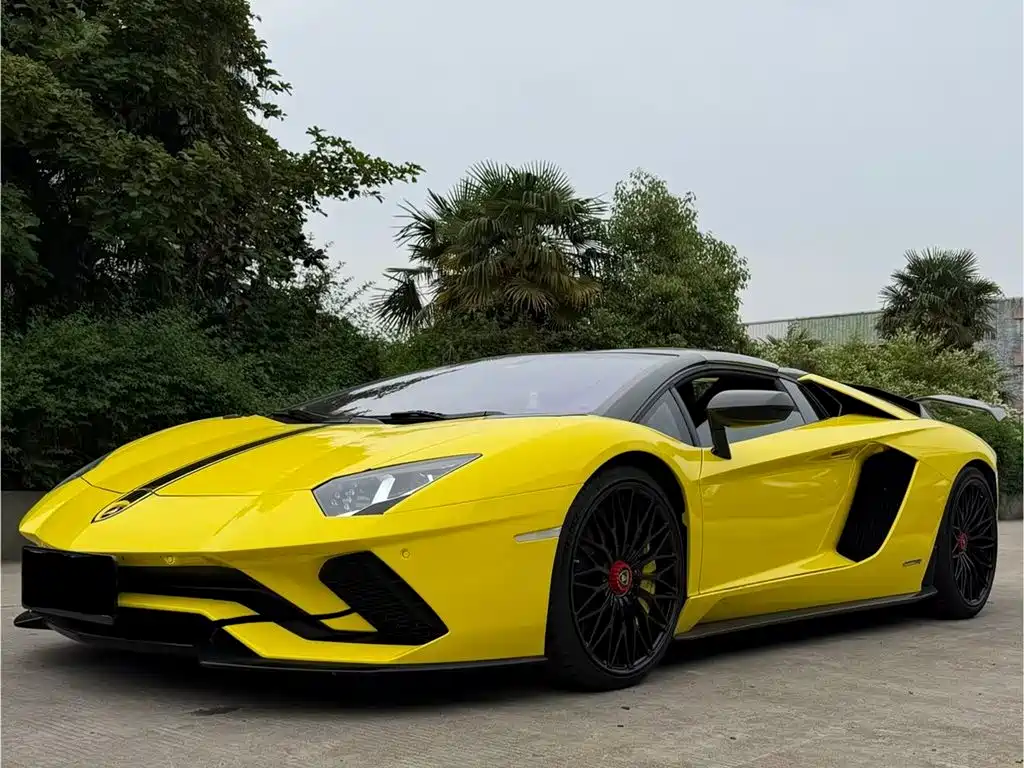 Lamborghini Aventador 2018 Aventador S Roadster фото 8