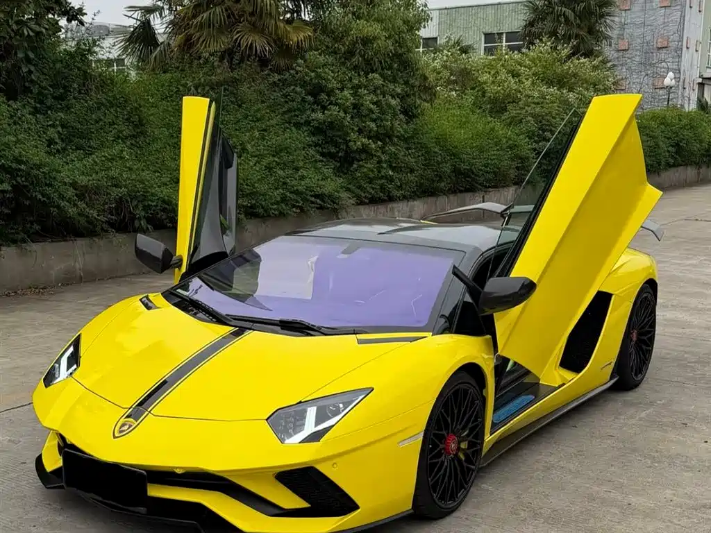 Lamborghini Aventador 2018 Aventador S Roadster фото 6