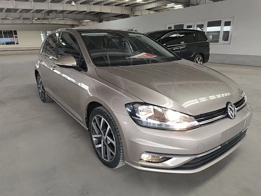 Volkswagen Golf 2019 280TSI DSG Luxury China VI фото 4
