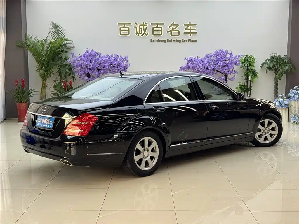 Mercedes-Benz S-Class 2010 S 300 L Business фото 5