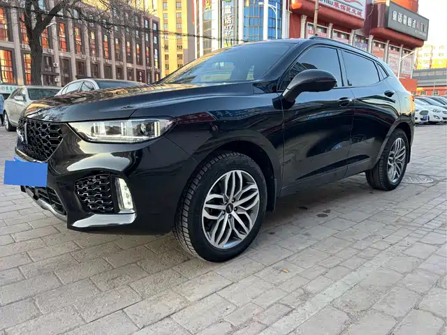 WEI PAI WEI BRAND VV5