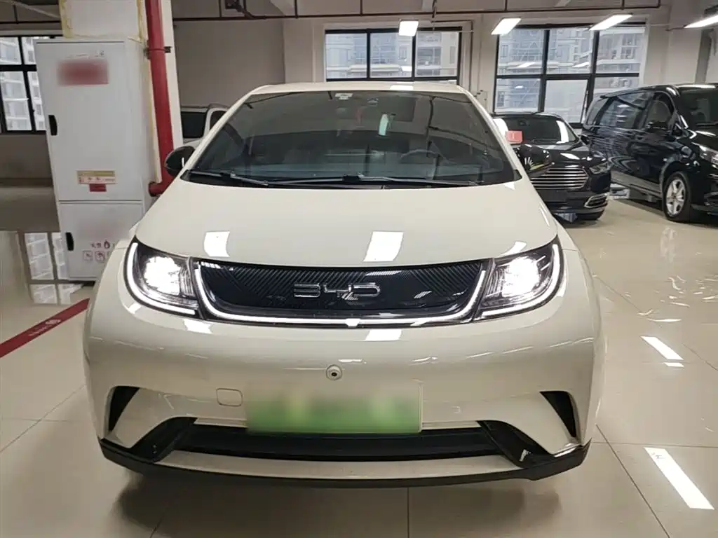 BYD Dolphin 2023 420km Freedom Edition фото 3