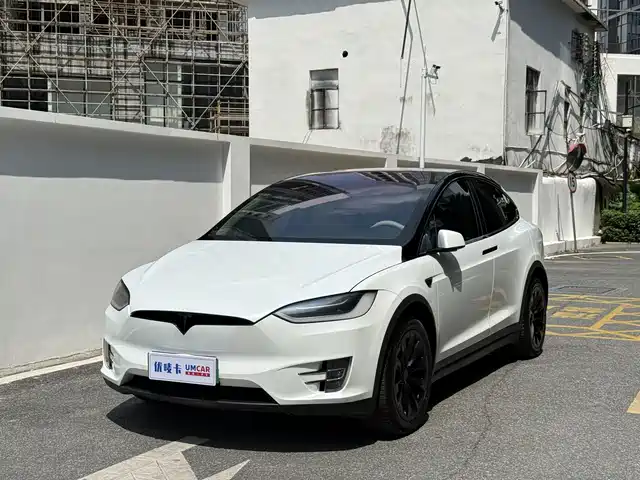 Tesla Model X 2017 Model X 100D Long Range — фото 1